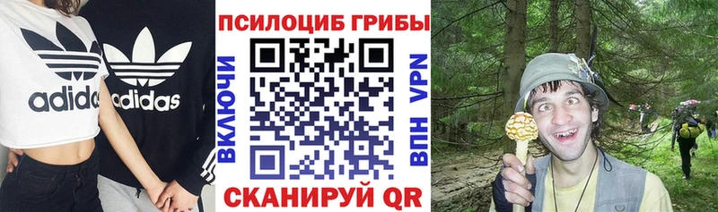 Псилоцибиновые грибы Psilocybe  ссылка на мегу ONION  Камешково 