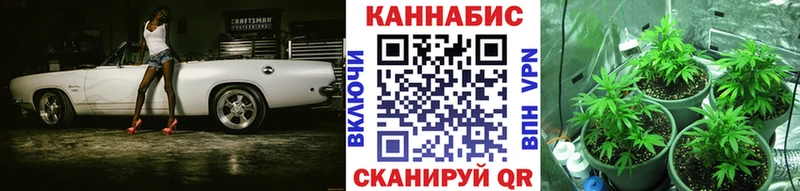 Шишки марихуана Amnesia  mega как зайти  Камешково 